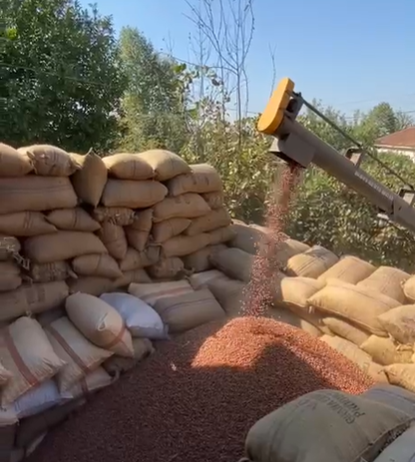 Video1
